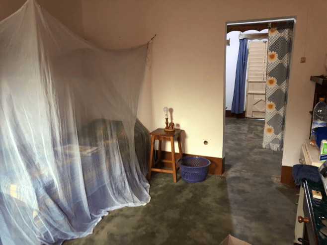 Bed draped in mosquito netting