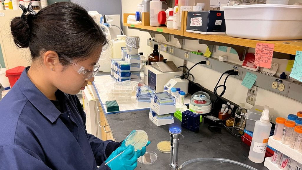 Schreyer Scholar Yuki Yoshida working in the research lab
